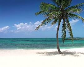Beautiful Beaches Nassau Bahamas